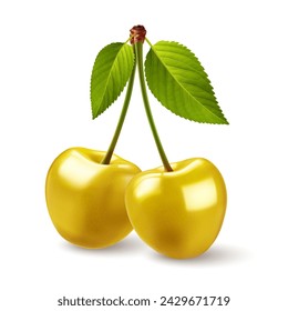 Dos cerezas aisladas sobre fondo blanco, cerezas de color amarillo dulce con una gran hoja verde en su tallo