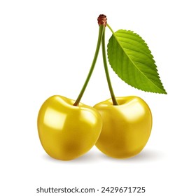 Dos cerezas aisladas sobre fondo blanco, cerezas de color amarillo dulce con una gran hoja verde en su tallo como elemento de diseño de paquete