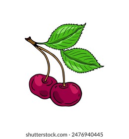 Two cherries and leaves. Color berries set. Hand-drawn flat image. Vector illustration.