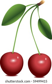 Two cherries over white background
