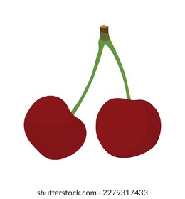 Two cherry fruits vector artwork