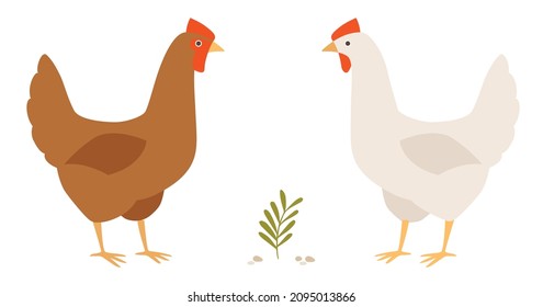 Two chickens on a farm yard. Red and white hens. Vector illustration