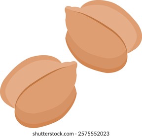 Two chickpea seeds, Few Chickpea isolated.