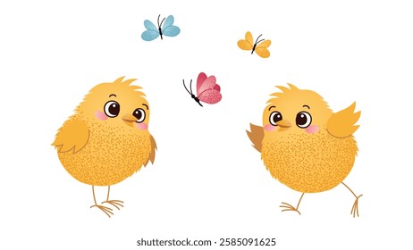 Two Chicks with Butterflies on White Background. Two cute yellow chicks looking at a butterfly on a white background. Easter and spring childrens design for greeting card, invitation.