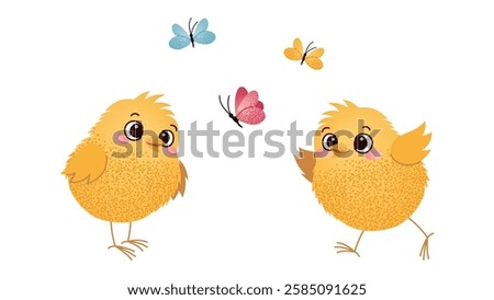 Two Chicks with Butterflies on White Background. Two cute yellow chicks looking at a butterfly on a white background. Easter and spring childrens design for greeting card, invitation.