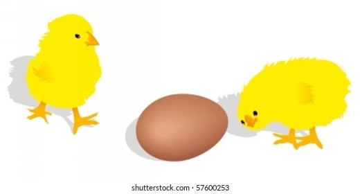 Two chicks and egg