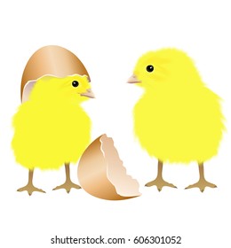 Two chicks with egg shells. Hand drawn vector illustration on white background.
