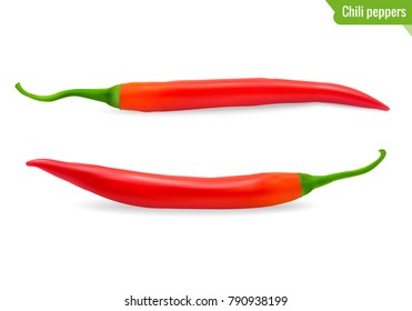 Two chili peppers isolated on white background. Realistic vegetables. Vector illustration.