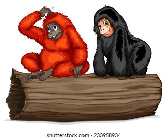 Two chimpanzee sitting on a log