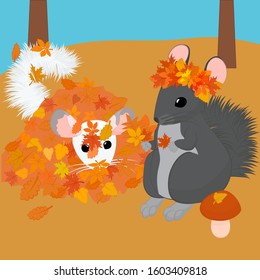 two chinchillas walk and have fun in the autumn forest. vector illustration