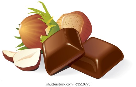 Two chocolate pieces and hazelnuts composition. Vector illustration