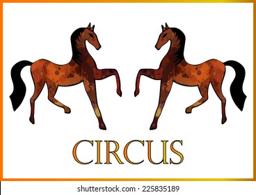 Two circus horses