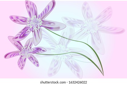 two clear violet-white flowers on green branches and two blurry
