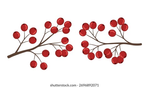 Two clusters of bright red berries on thin brown branches in a symmetrical design.