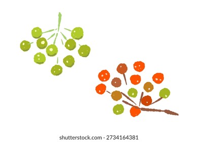 Zwei Cluster von roten und grünen Sansho Beeren