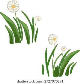 Dois grupos de flores brancas estilizadas com centros amarelos e lâminas de grama verde em um fundo branco plano, representando uma cena natural simples e alegre.