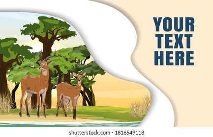 Two Cob antelopes on the bank near the river in the African savannah with baobabs. Wild mammals of central Africa. Realistic vector landscape. Landing page template with multi-level shadows.