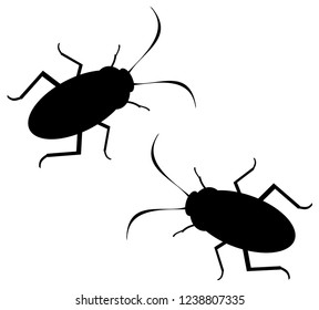 two cockroaches crawling