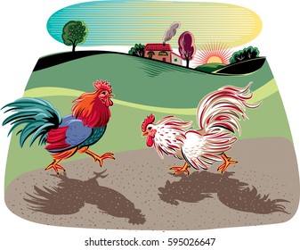 Two cocks facing each other in a fight.