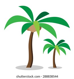 Two coconut trees with coconut and no coconut in simple flat style.