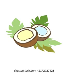 Two coconuts on palm leaves. Coconut in the cut. Isolated on a white background.
