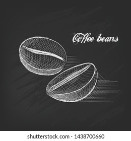 Two coffee beans in sketch style, painted as chalk charcoal pencil. Vector isolated illustration