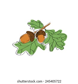 Two color acorns on branch with leaves