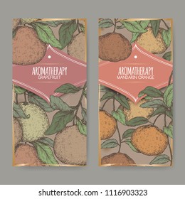 Two color labels with citrus paradisi aka grapefruit and citrus reticulata aka mandarin sketch on vintage background. Great for traditional medicine, perfume design, cooking or gardening.
