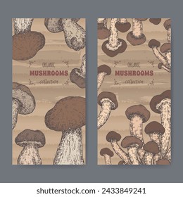 Two color labels with cyclocybe aegerita aka poplar mushroom anad Boletus edulis aka porcini mushroom sketch. Edible mushrooms series.