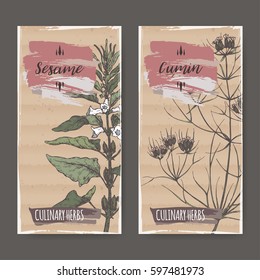 Two color labels with sesame and cumin sketch. Culinary herbs collection. Great for cooking, medical, gardening design.