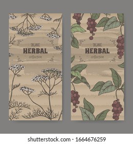 Two color labels with Yarrow aka Achillea millefolium and Schisandra aka Schisandra chinensis or magnolia vine sketch. Herbal collection series. Great for medicine, perfume, cooking or gardening.