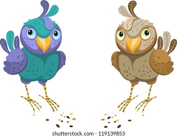 Two colored bird on a white background