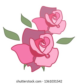 Two colored roses. Vector illustration.