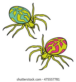 Two colored spider isolated on white background. Vector spiders 