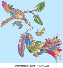 two colorful birds