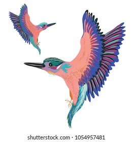 Two colorful birds flying. Vector illustration of two birds on white background