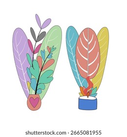 Dos plantas de maceta de hojas de colores