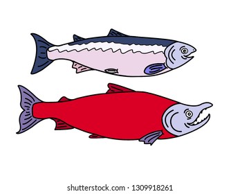 Two colorful red salmon fishes - male and female smiling
