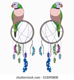Two colorful tropical parrots are sitting on the dream catchers with feather. Vector. Isolated