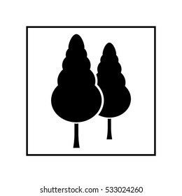 Two conifer tress in a square vector icon