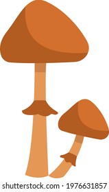 Two conocybe filaris mushrooms, icon illustration, vector on white background