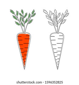 Two contour carrots drawn in one line with a substrate of the color of lush lava and without it on a white background. Vector.