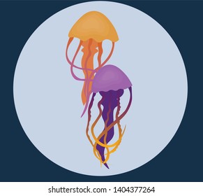 
Two contrasting jellyfish in the seabed