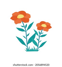 Two coral flowers. Vector objects in flat style. Floral elements.