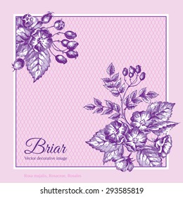 Two corner ornaments on border with briar.
Corners are grouped separately from background. Hand drawn sketch used.