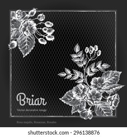 Two corner ornaments on border with briar. Chalk on blackboard.
Corners are grouped separately from background. Hand drawn sketch used.
