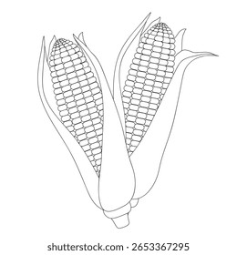 Two corns with leaves on white background. Black and white vector illustration for children's coloring book, worksheet, print.