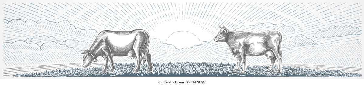 Two cows, against the background of a rural landscape with a sunrise, illustration in a the engraving style.