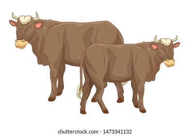 Two cows animals cartoons isolated vector illustration graphic design