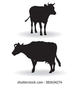 Two Cows. Black and white Silhouette. Graphic Vector Image.